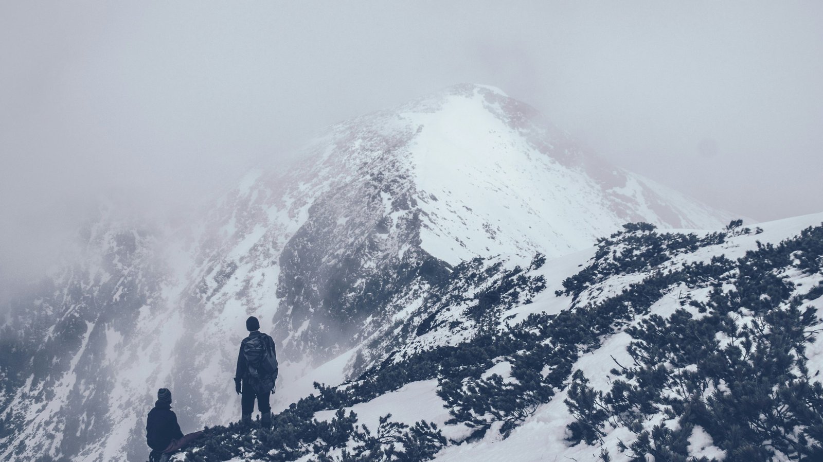 nicolai-traasdahl-tarp-ZXVk-NMWtgg-unsplash